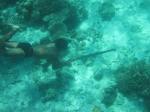 Bajau Laut speargun fishermen, Kulapuan,&nbsp;Semporna