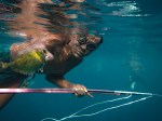 Sama DIlaut fisherman, Sampela, Wakatobi, Sulawesi,&nbsp;Indonesia