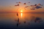 Sunset in Sampela, Wakatobi, Sulawesi,&nbsp;Indonesia