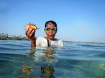 Sama Dilaut Woman Collecting Shellfish, Sampela, Wakatobi, Sulawesi,&nbsp;Indonesia