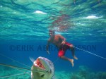 Sama Dilaut Fisherman With Barracuda Catch, Sampela, Indonesia&nbsp;2