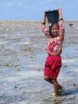 Sama Dilaut Girl Collecting Shellfish, Sampela,&nbsp;Indonesia